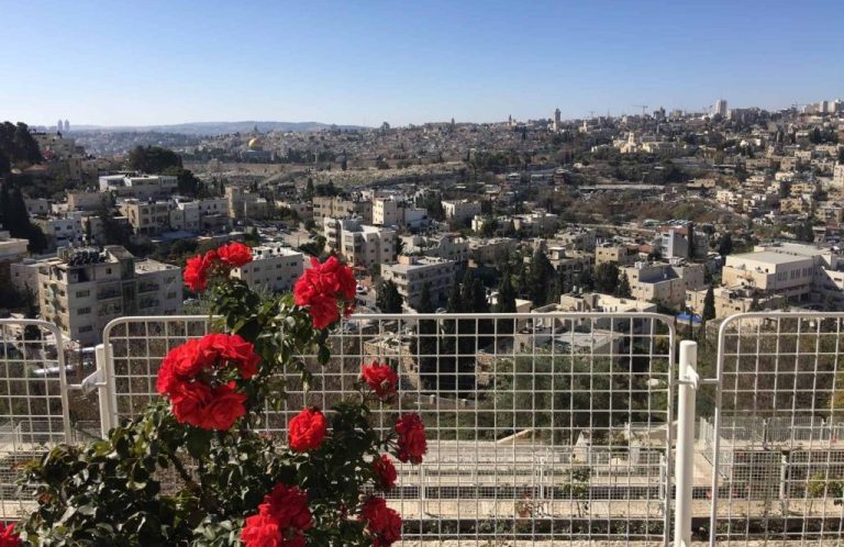 Jerusalem from the gardens of the BYU Jerusalem Center