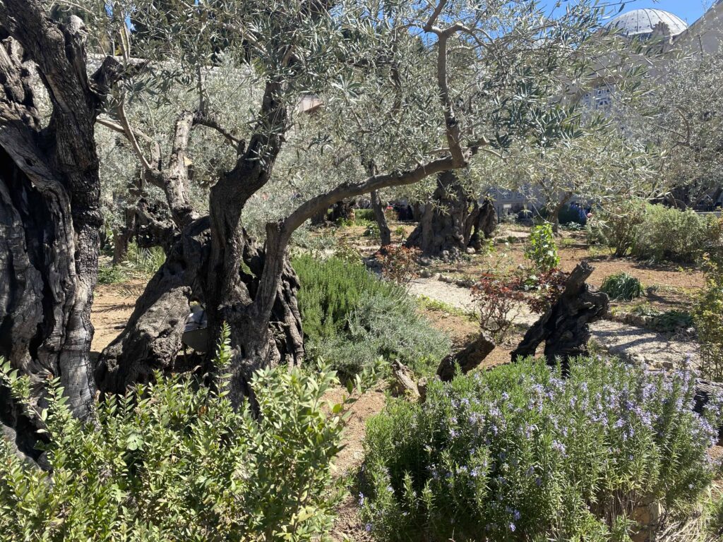 Gethsemane