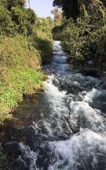 Headwaters of the Jordan River at the Base of Mt. Hermon