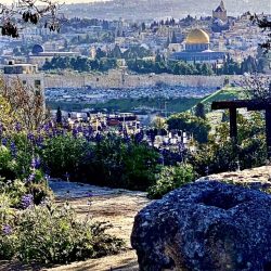 Jerusalem from the BYU Center on Mt Scopus