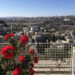 Jerusalem from the gardens of the BYU Jerusalem Center